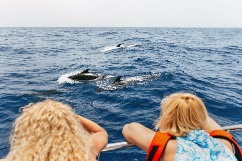 Costa Adeje: Whale Watching Catamaran Tour with Drinks - A catamaran ride that stays comfortable (even when the water doesn’t)
