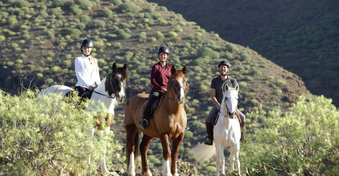 El Salobre: Horse Riding Adventure with Transfer Options - First impressions at El Salobre: safety gear and calm horses