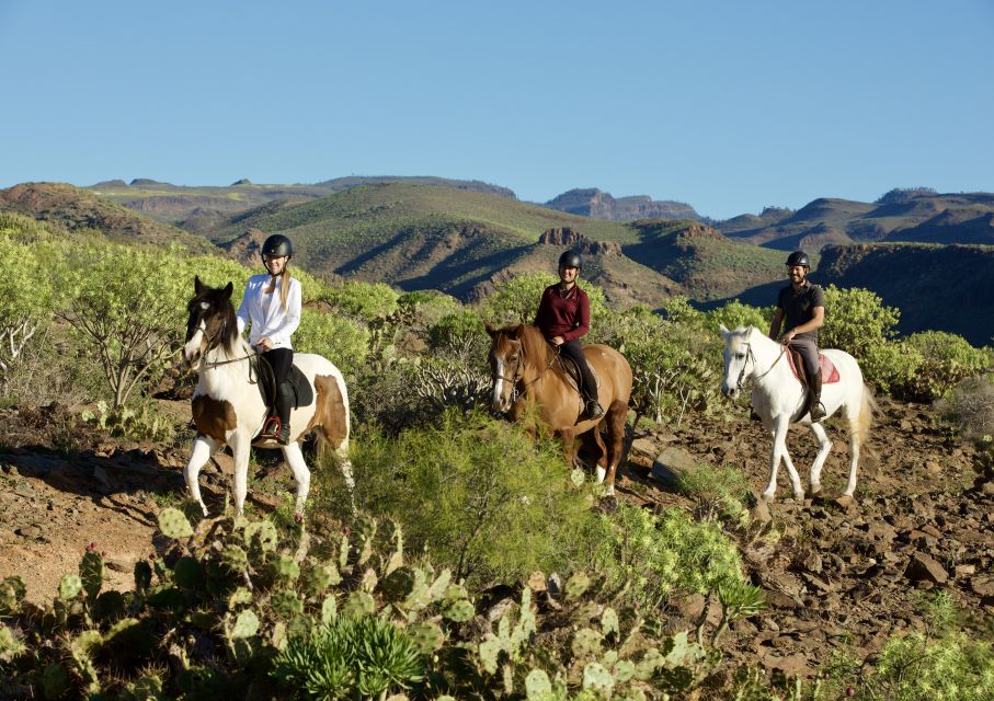 El Salobre: Horse Riding Adventure with Transfer Options - Choosing your ride: 1 hour, 2 hours, or sunset timing