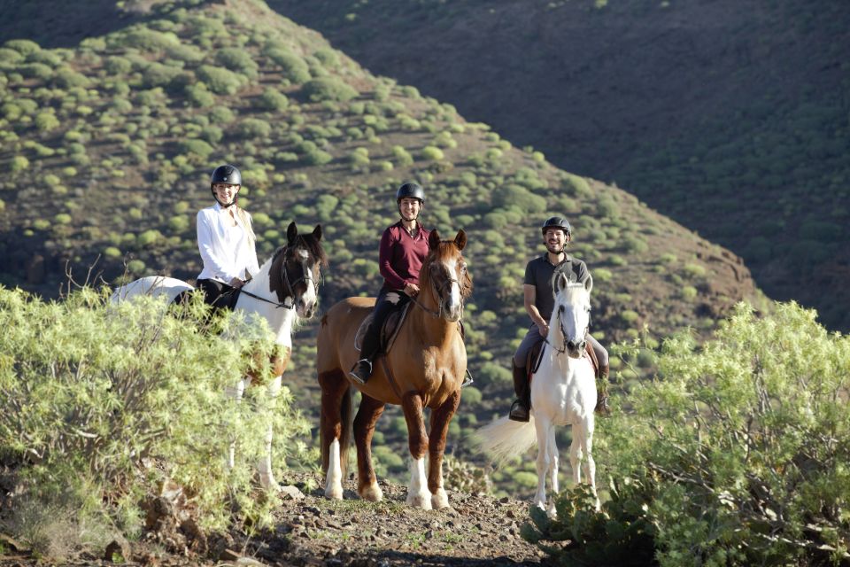 El Salobre: Horse Riding Adventure with Transfer Options - How the guides manage mixed ability without making it awkward
