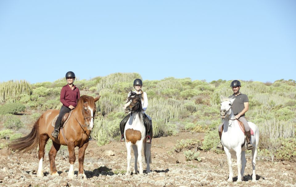 El Salobre: Horse Riding Adventure with Transfer Options - Who should book this horse riding adventure (and who should skip it)