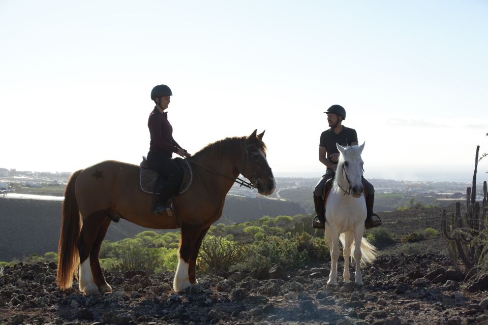 El Salobre: Horse Riding Adventure with Transfer Options - FAQ