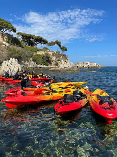 From Barcelona: Costa Brava Kayak & Snorkel Tour with Picnic - The Little Extras: Guides Who Coach, Point Out Life, and Keep You Moving