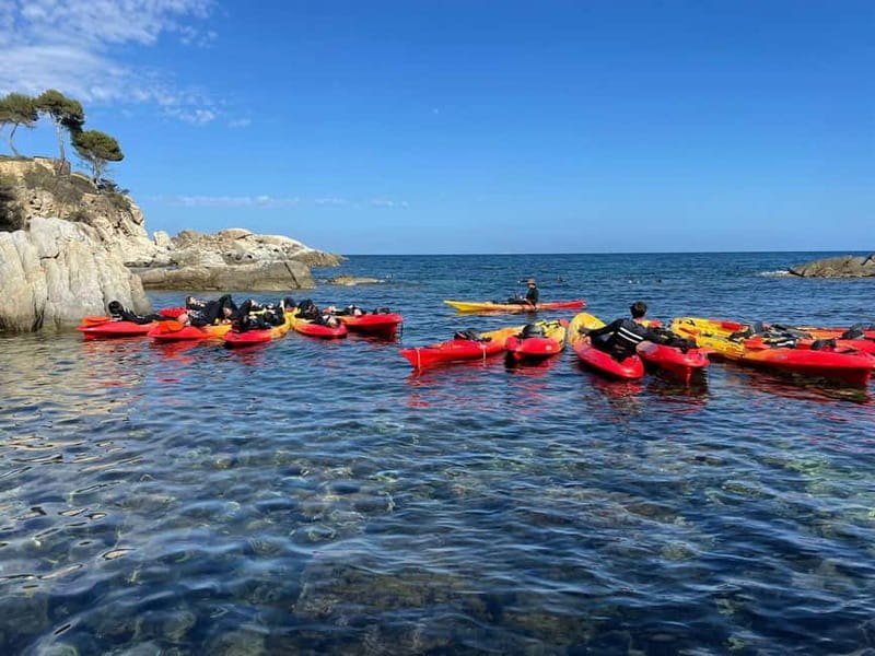 From Barcelona: Costa Brava Kayak & Snorkel Tour with Picnic - Price and Value: Is $71 Worth It?