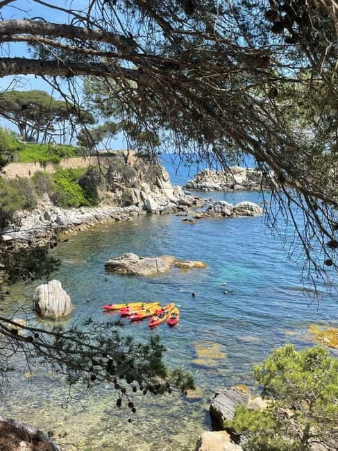 From Barcelona: Costa Brava Kayak & Snorkel Tour with Picnic - Who Should Book This Costa Brava Kayak and Snorkel Tour