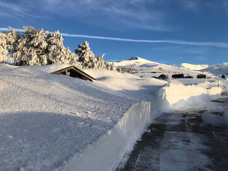 From Granada: Sierra Nevada Safari up to 2500 meters high - Small-group comfort, and why it matters up steep roads