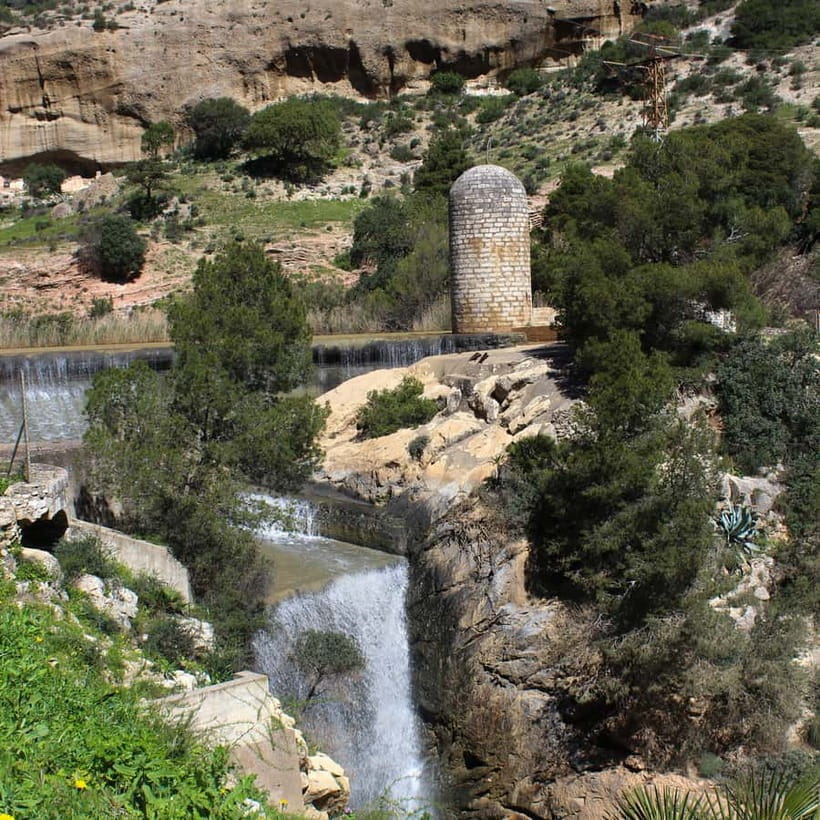 From Malaga: Caminito del Rey all included - The tastings and the diploma: the nice ending you’ll be glad you have
