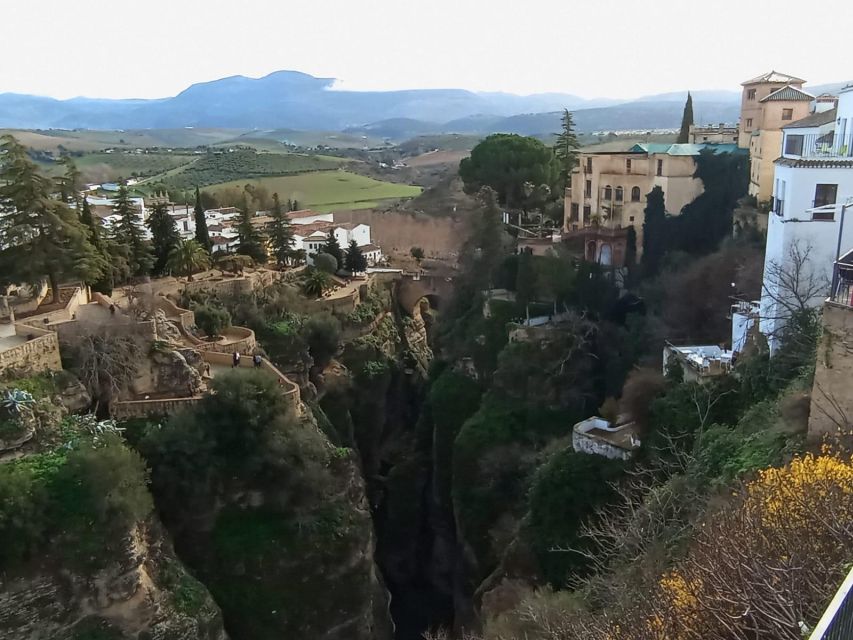 From Málaga: Ronda+Setenil de las Bodegas with Little Train - Value check: is $34 a fair deal for two towns?
