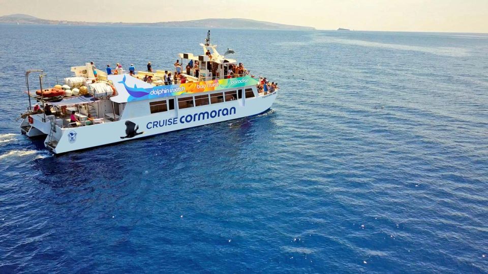 From Paguera: Dolphin Watching Cruise in a Glass-Bottom Boat - Key highlights before you go