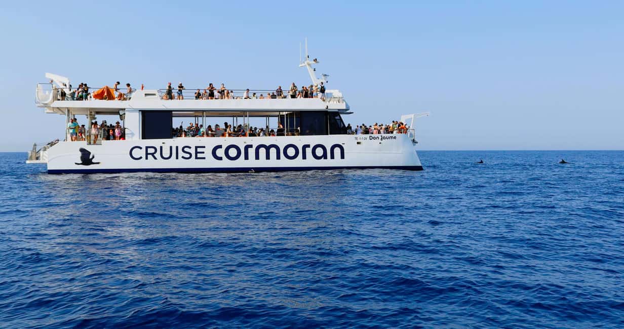 From Paguera: Dolphin Watching Cruise in a Glass-Bottom Boat - Swim stop in a Mediterranean cove: nice break, but not always your snorkel dream