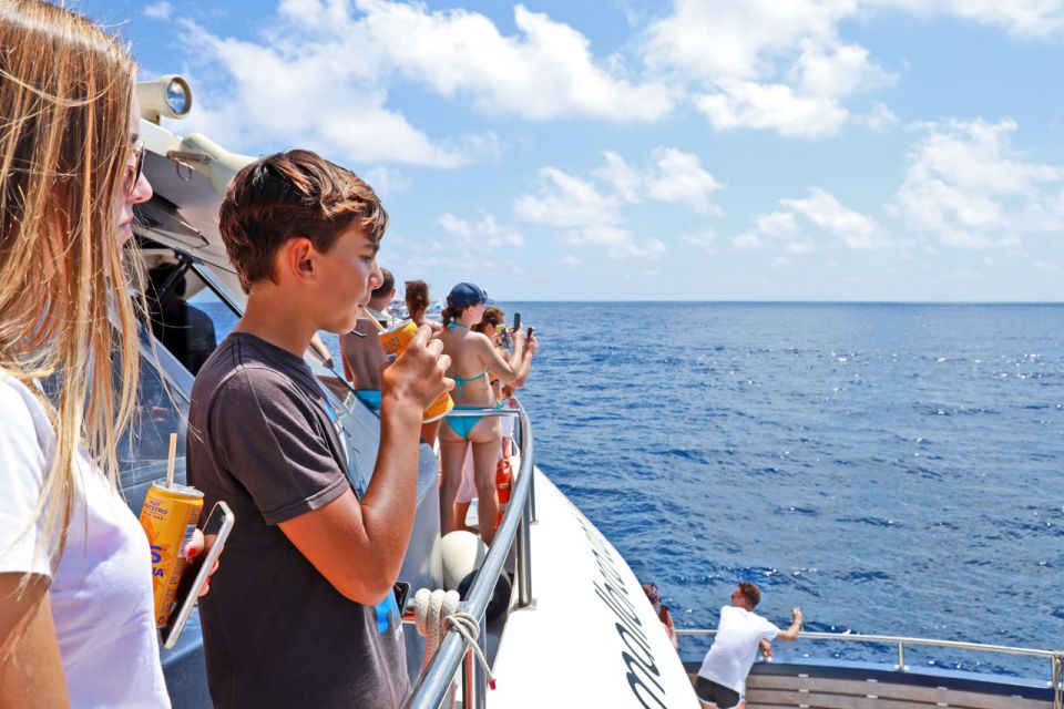 From Paguera: Dolphin Watching Cruise in a Glass-Bottom Boat - Seasickness and comfort: the one thing you should plan for