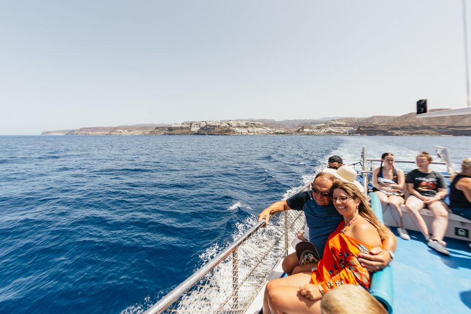 From Puerto Rico de Gran Canaria: Dolphin Watching Cruise - How the Crew Helps You Identify Cetaceans (And Why It Matters)