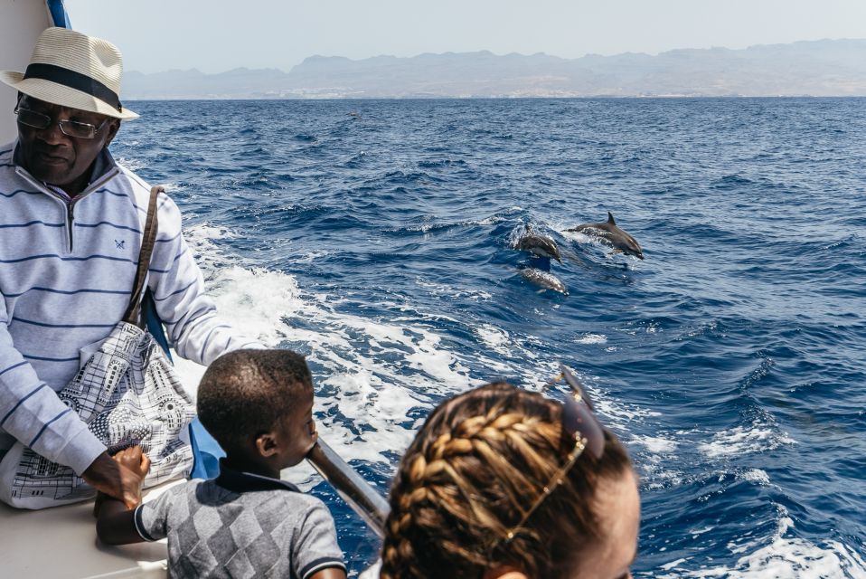 From Puerto Rico de Gran Canaria: Dolphin Watching Cruise - Seasickness Reality Check on the Atlantic