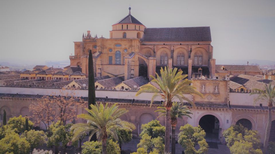 From Seville: Cordoba, the Mosque and Carmona Day Trip - Córdoba free time for lunch: how to use 90 minutes without panic