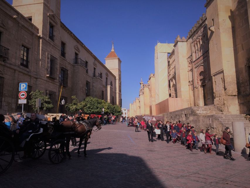 From Seville: Cordoba, the Mosque and Carmona Day Trip - Who this tour fits best (and who might want to skip it)