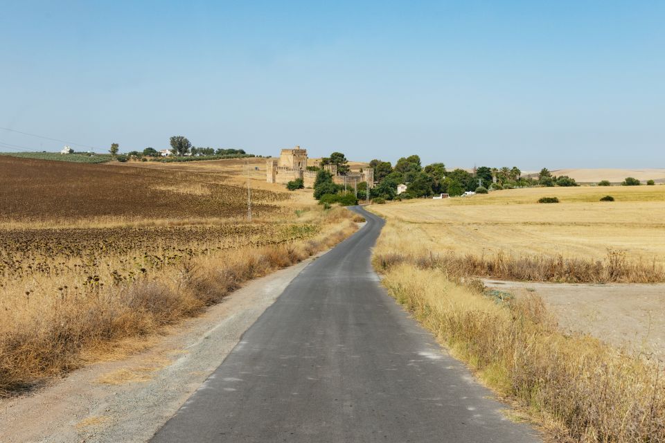 From Seville: Pueblos Blancos and Ronda Full-Day Trip - Grazalema Natural Park: Vultures, Honey Forest, and Lunch Time
