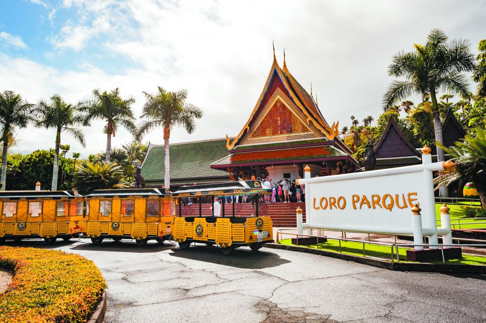 From South Tenerife: Loro Park Zoo Ticket & Hotel Transfers - Key highlights at a glance