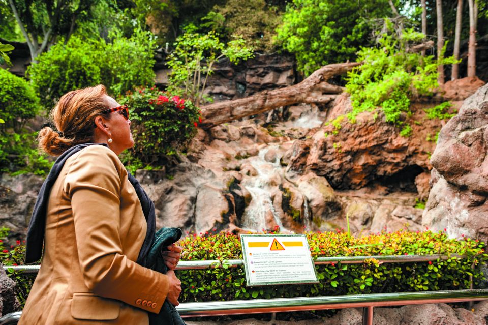 From South Tenerife: Loro Park Zoo Ticket & Hotel Transfers - Transfers, Timing, and Comfort: The Stuff That Makes or Breaks the Day