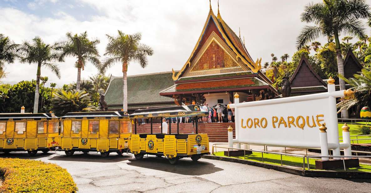 From South Tenerife: Loro Park Zoo Ticket & Hotel Transfers - First Impressions Inside Loro Parque: Clean Layout and Show Timing
