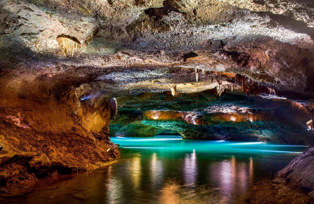 From Valencia: Cueva de Sant Josep Boat Tour with Guide - Price and value: what $69 really buys you
