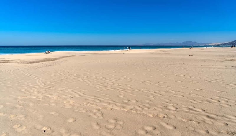 Fuerteventura: Cofete Beach Jeep Safari - Mirador del Viento: the best kind of stop for big views