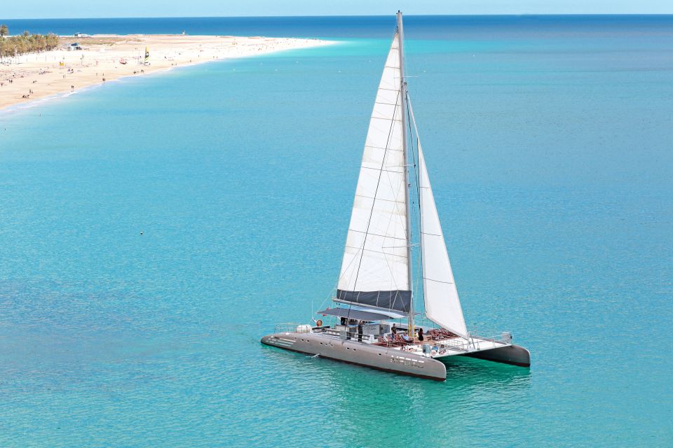 Fuerteventura: Magic Catamaran Trip with Food and Drinks - The Dolphin and Whale Watching Search Off Fuerteventura