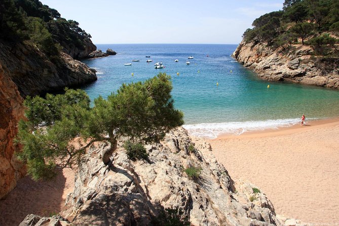 Girona & Costa Brava Small-Group Tour with Pickup from Barcelona - The pace, the walking, and what to wear