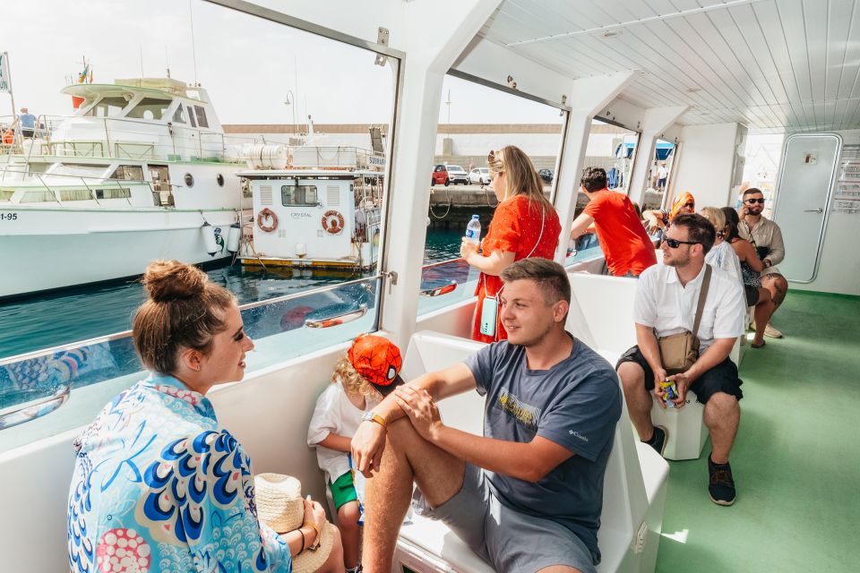 Gran Canaria: Dolphin and Whale Watching Cruise - Getting to the Harbour: timing is part of the experience