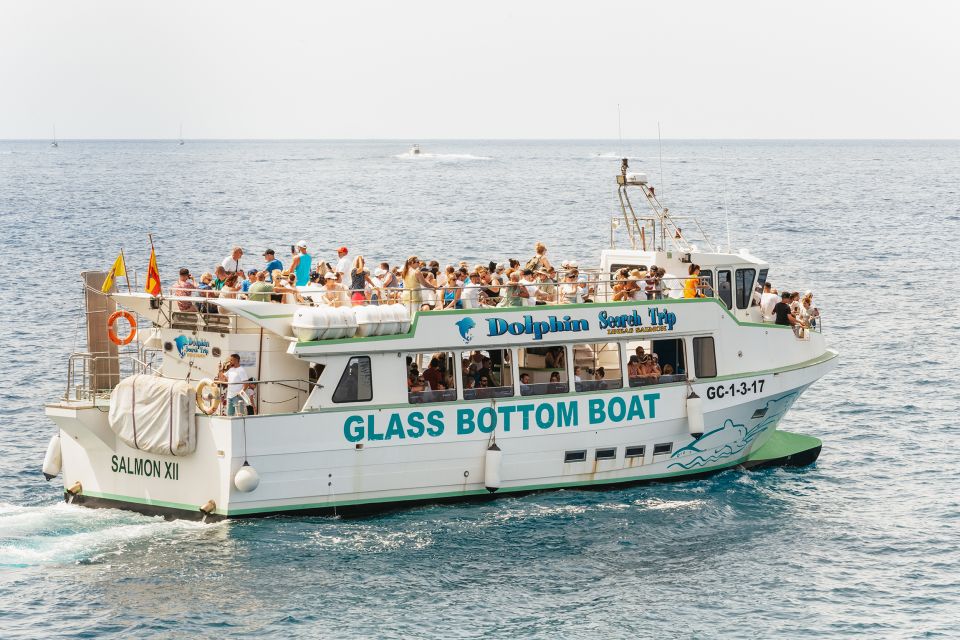 Gran Canaria: Dolphin and Whale Watching Cruise - If You Don’t See Cetaceans: the voucher safety net
