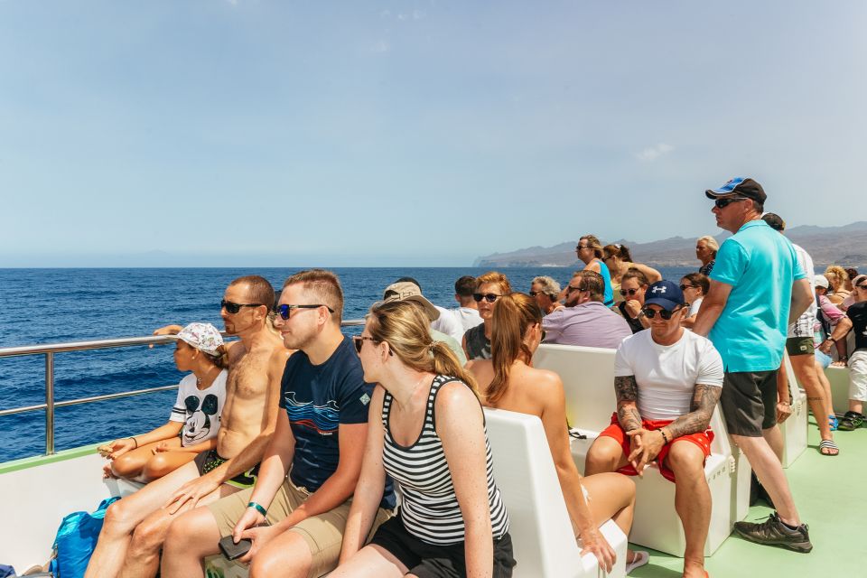 Gran Canaria: Dolphin and Whale Watching Cruise - Price and Value: why $41 can be more than just a cheap thrill