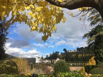 Granada: Alhambra & Generalife Fast-Track Guided Tour - Getting into the Alhambra Palace Complex without burning your morning