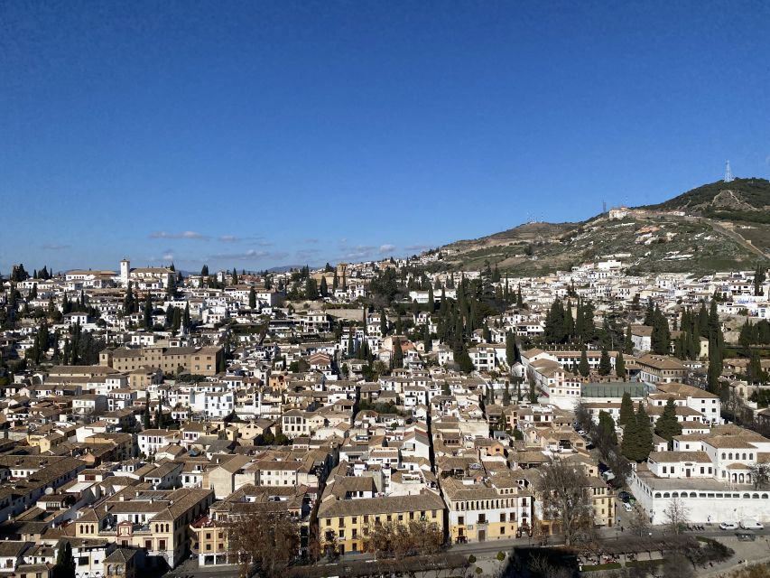 Granada: Alhambra & Generalife Fast-Track Guided Tour - Price and value: what $88 buys you