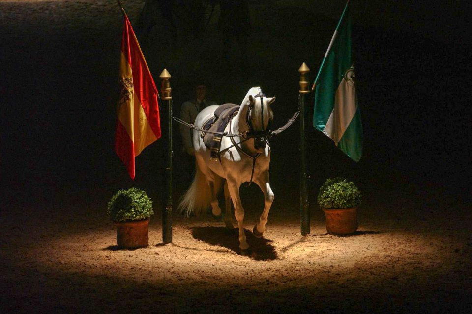Jerez de la Frontera: How the Andalusian Horses Dance - Work in hand, carriage driving, and the final Carrousel