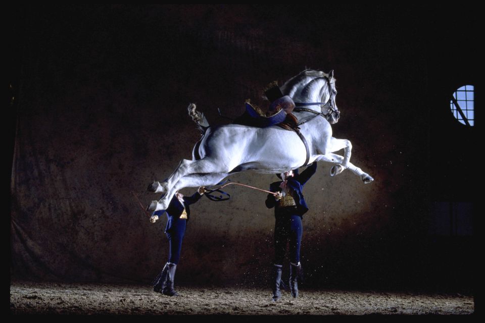 Jerez de la Frontera: How the Andalusian Horses Dance - Seasonal bonus: the Four Equestrian European Schools gala in late June