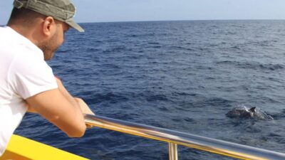 Lanzarote: 2.5-Hour Sunset and Dolphins Cruise - Biosfera Jet Speed Boat: Fast, Fun, and Not for Light Seasick Days