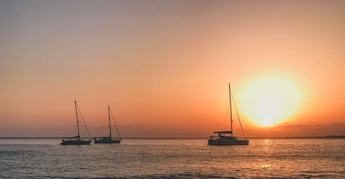Lanzarote: Dolphin-Watching Sunset Cruise with Transfers - Key things that make this cruise worth your evening
