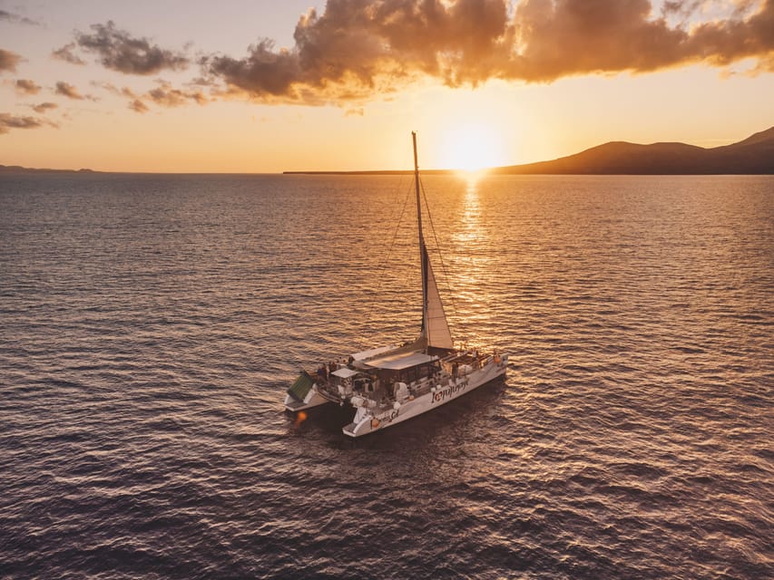 Lanzarote: Dolphin-Watching Sunset Cruise with Transfers - Where this cruise starts to feel special: Puerto del Carmen at golden hour