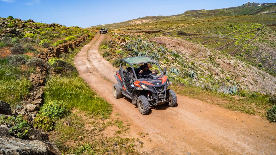 Lanzarote: Guided Off-Road Volcano Buggy Tour - Where You Meet in Costa Teguise and How Pickup Works