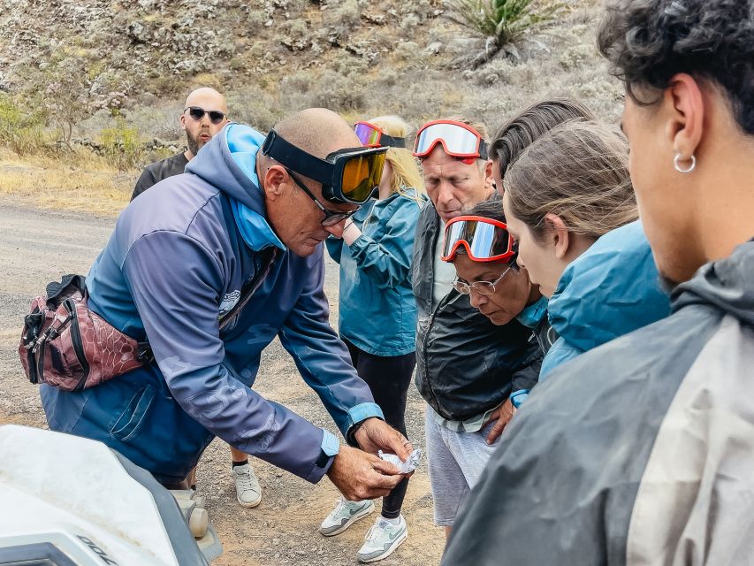 Lanzarote: Guided Off-Road Volcano Buggy Tour - From Guatiza Quarries to Mala Dam: The First Taste of Off-Road