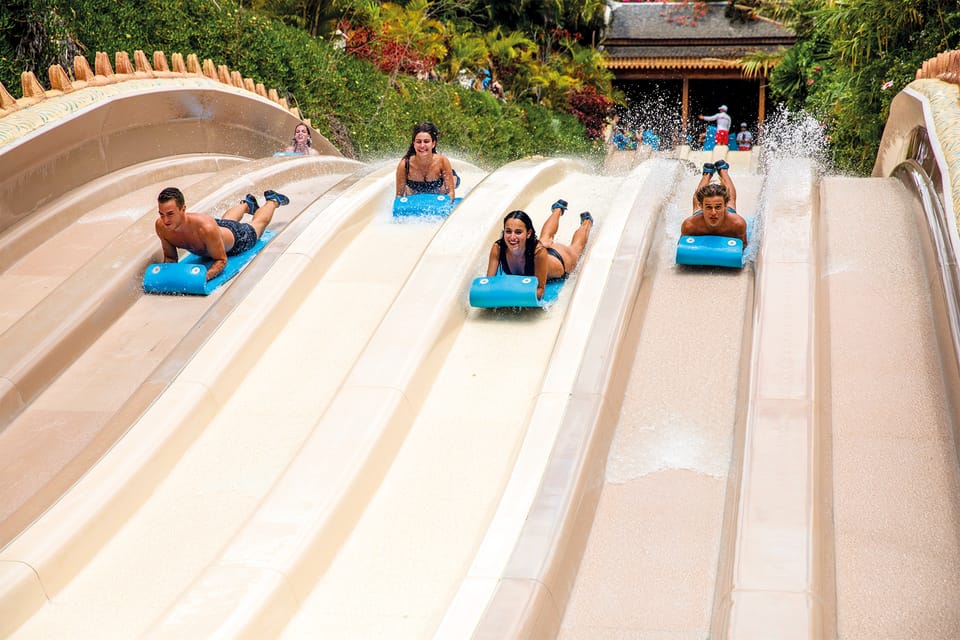 Loro Parque and Siam Park Combined Admission Tickets - Price and Value: Is $92 a Fair Deal for Two Major Parks?