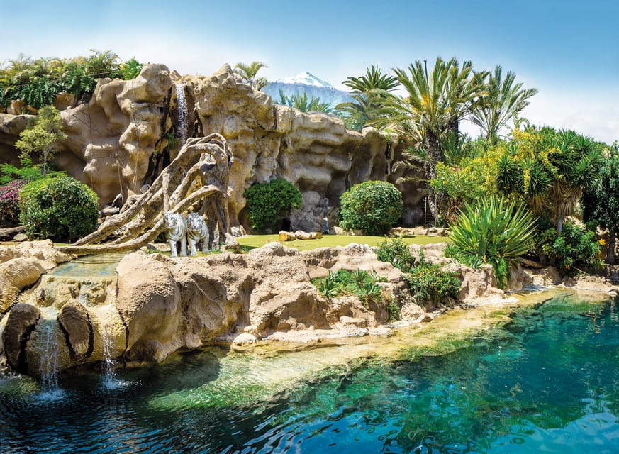 Loro Parque and Siam Park Combined Admission Tickets - Getting to Siam Park: Free Buses, Nearest Stations, and Where to Enter