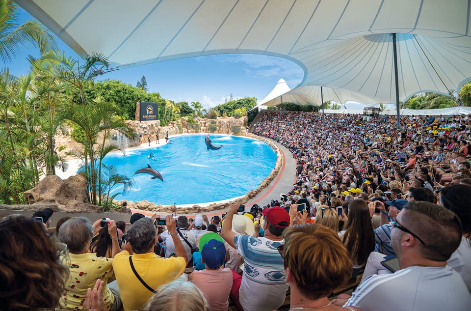 Loro Parque and Siam Park Combined Admission Tickets - Who This Combo Ticket Is Best For