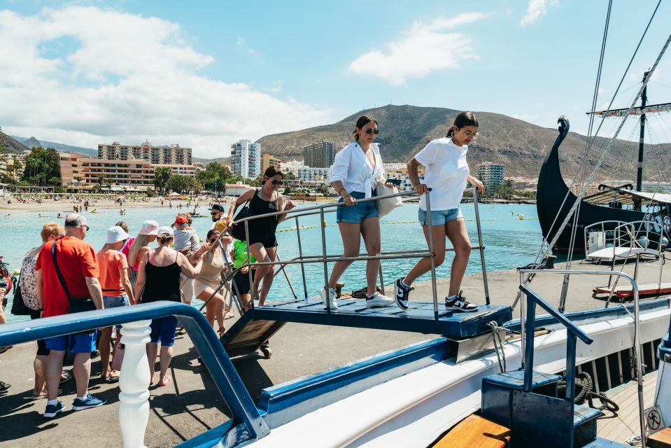 Los Cristianos Respectful No-Chase Whale and Dolphin Safari - A strict no-chase policy you can actually feel
