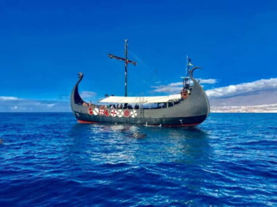 Los Cristianos: Viking Cruise Whales & Dolphins Watching - The first 15 minutes: photo stop and how the morning stays organized