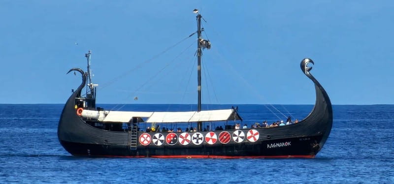 Los Cristianos: Viking Cruise Whales & Dolphins Watching - Onboard comfort: space, shade, restrooms, and the bar