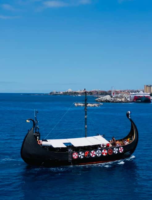 Los Cristianos: Viking Cruise Whales & Dolphins Watching - Price and value for a 2-hour Tenerife whale watch