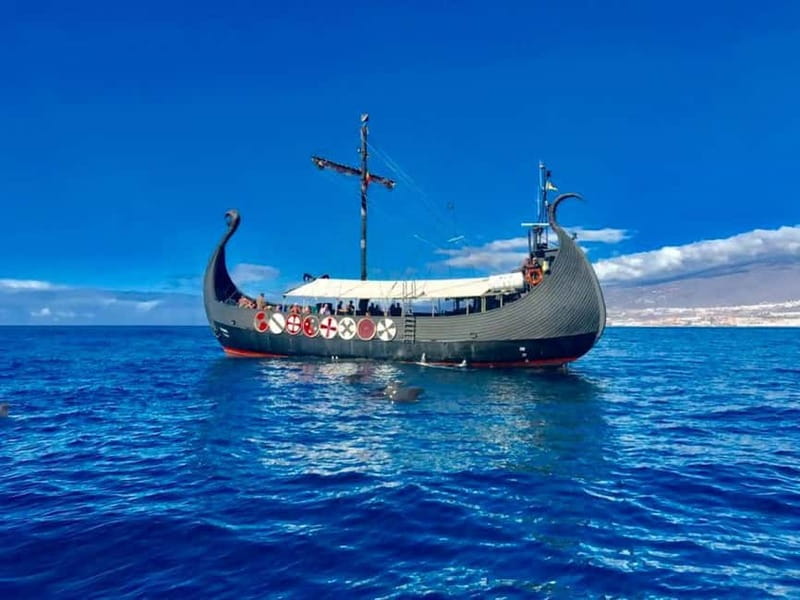 Los Cristianos: Viking Cruise Whales & Dolphins Watching - The first 15 minutes: photo stop and how the morning stays organized