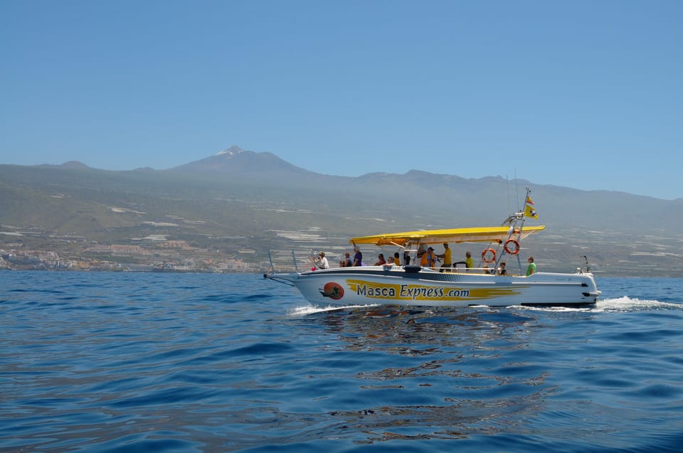 Los Gigantes: Dolphin & Whale Watching Cruise with Swim Stop - Key things that make this cruise worth your time