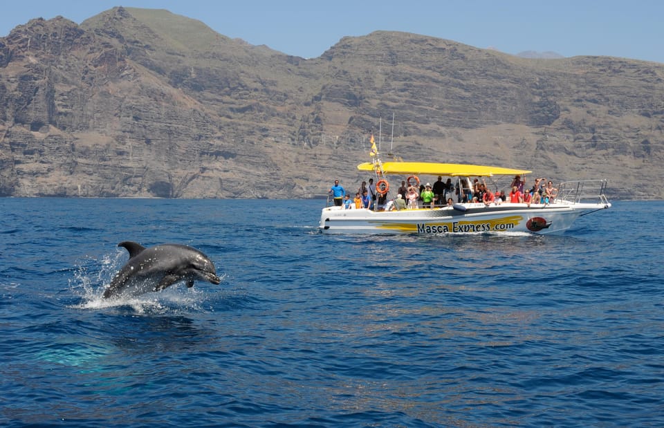 Los Gigantes: Dolphin & Whale Watching Cruise with Swim Stop - The opening cruise: where you look for dolphins and whales