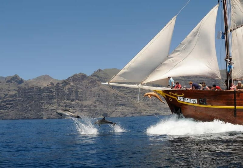 Los Gigantes: Dolphin & Whale Watching Tour on a Pirate Boat - The Masca and Los Gigantes Route: What You Gain From Sailing
